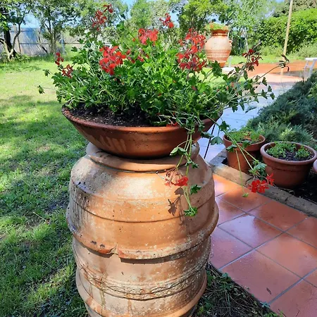 Apartamento Casa Celeste *